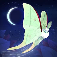 Icona di Flutter Starlight
